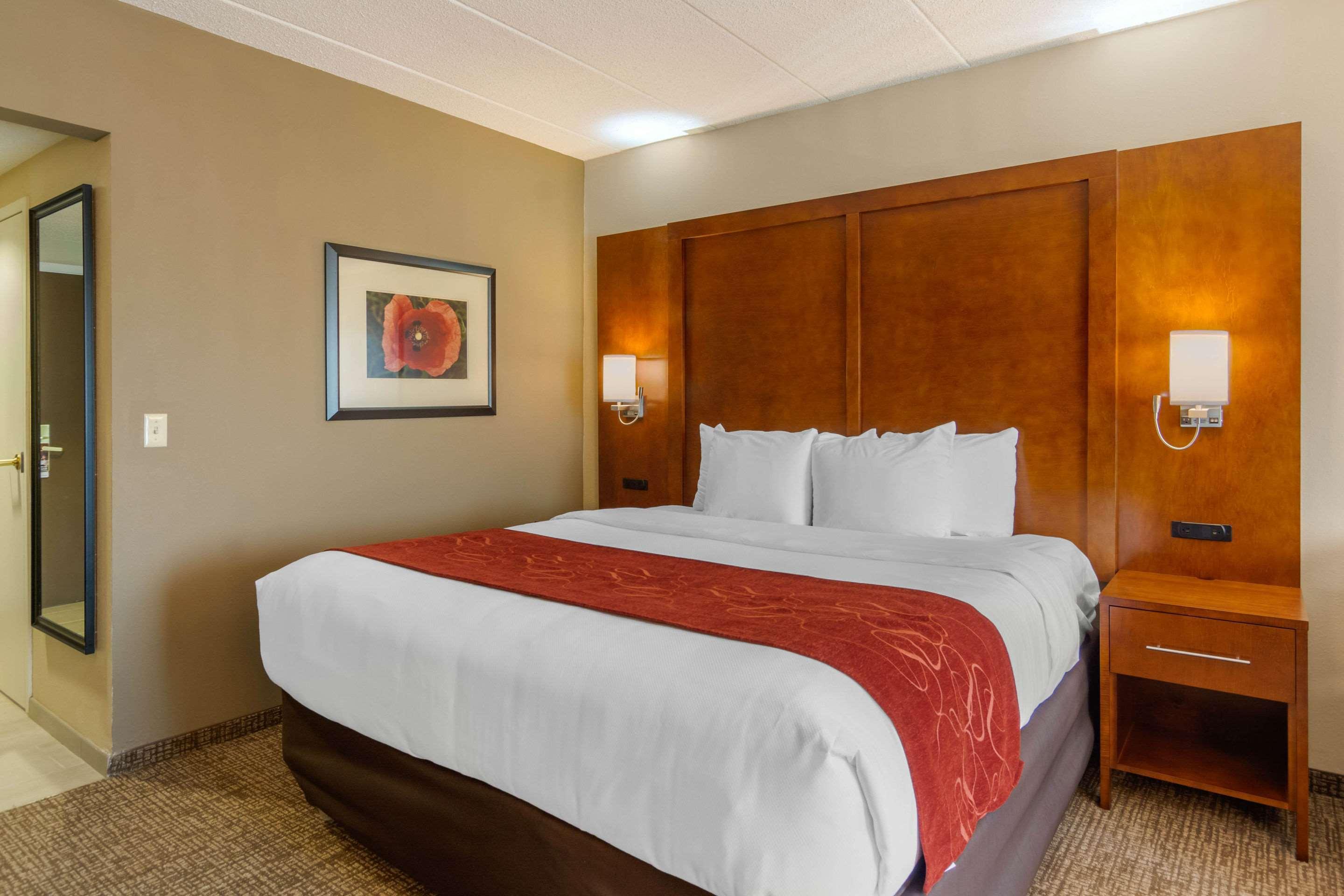 Comfort Suites Southpark Colonial Heights Eksteriør billede